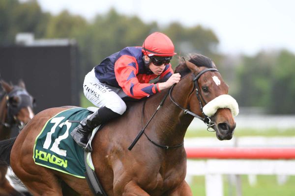 Entain shutters TAB Racing Club as CEO focuses on selling bets