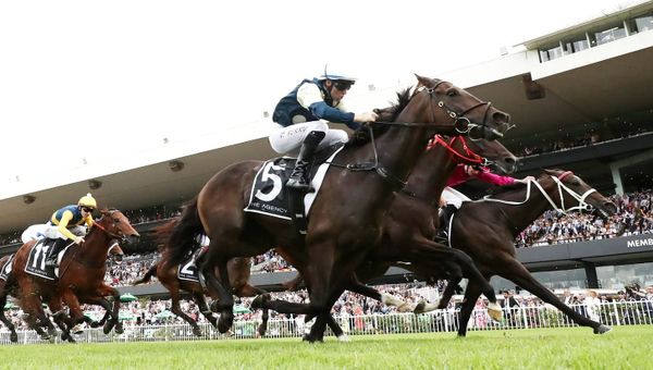 Shooting the breeze - Why faster times aren’t a guide to better buys at two-year-old sales