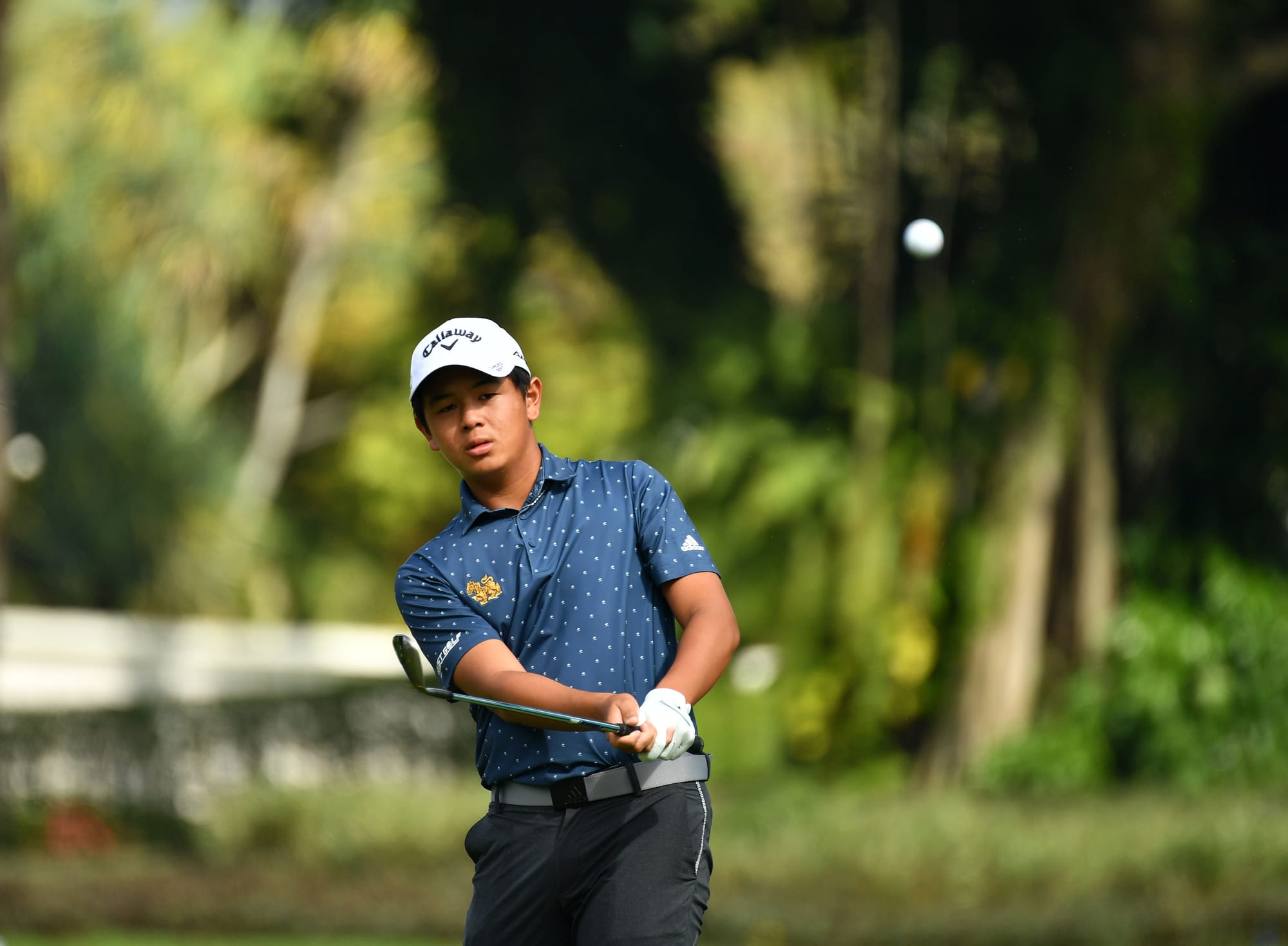 TK Leads Asia-Pacific’s Royal Lytham Challenge