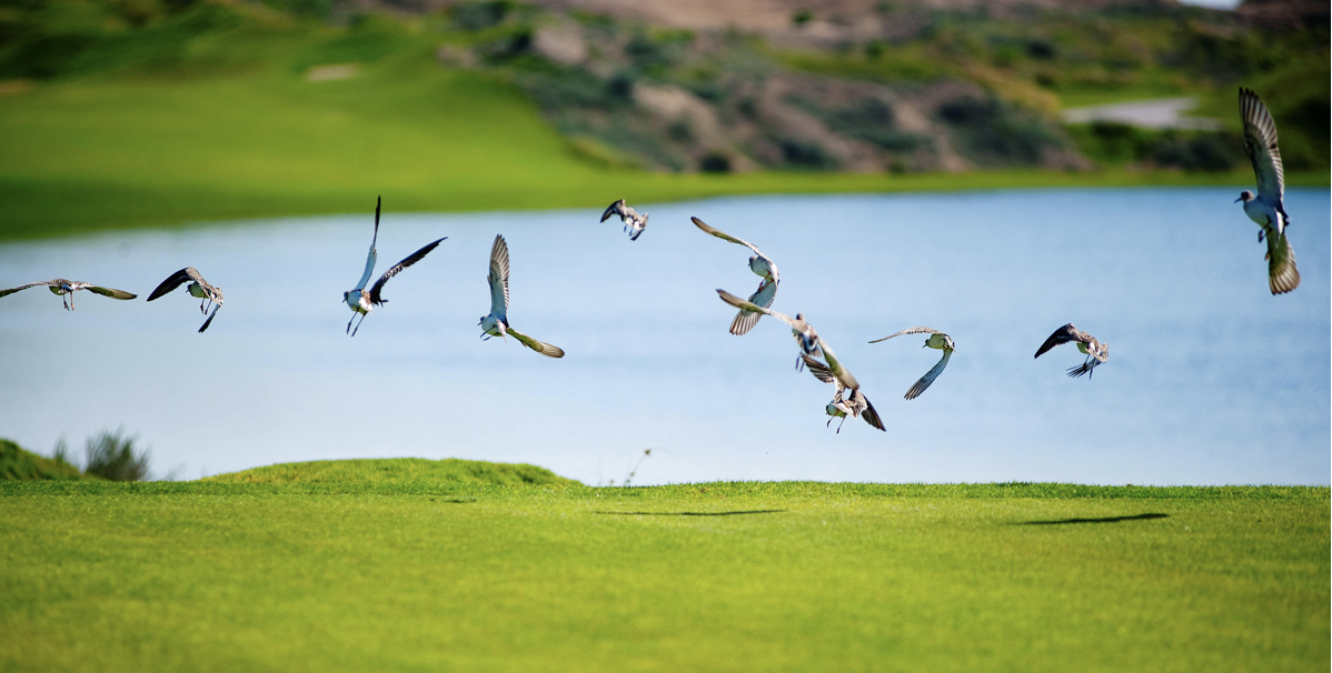 Sustainable Golf: Getting the Messaging Right