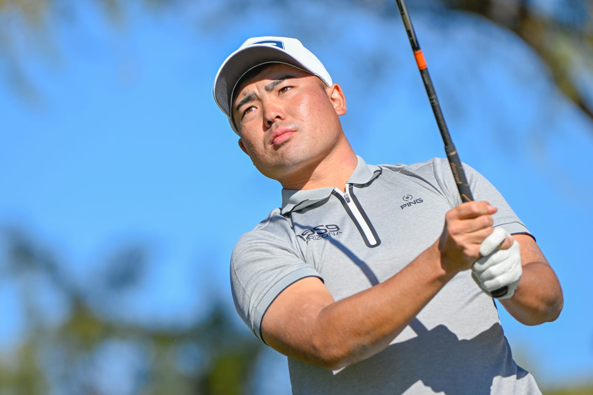 Japanese Taiga Aiming to Roar in the Lion City