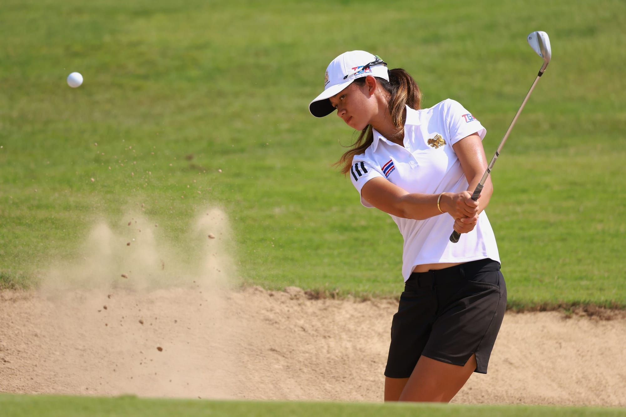 WAAP-Winning Trio Face-Off in Abu Dhabi