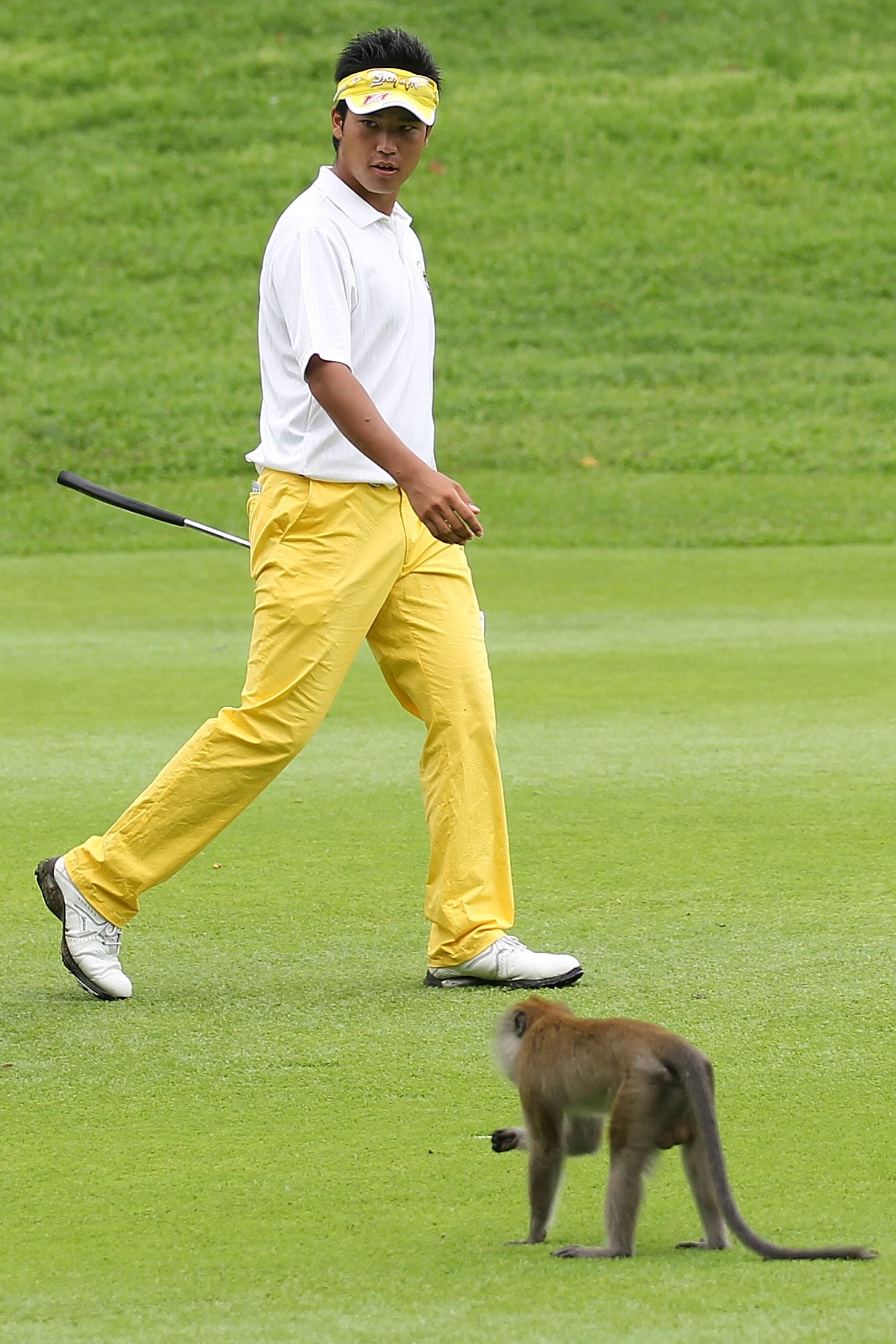 Hideki Matsuyama attracted some unusual admirers en route to victory.