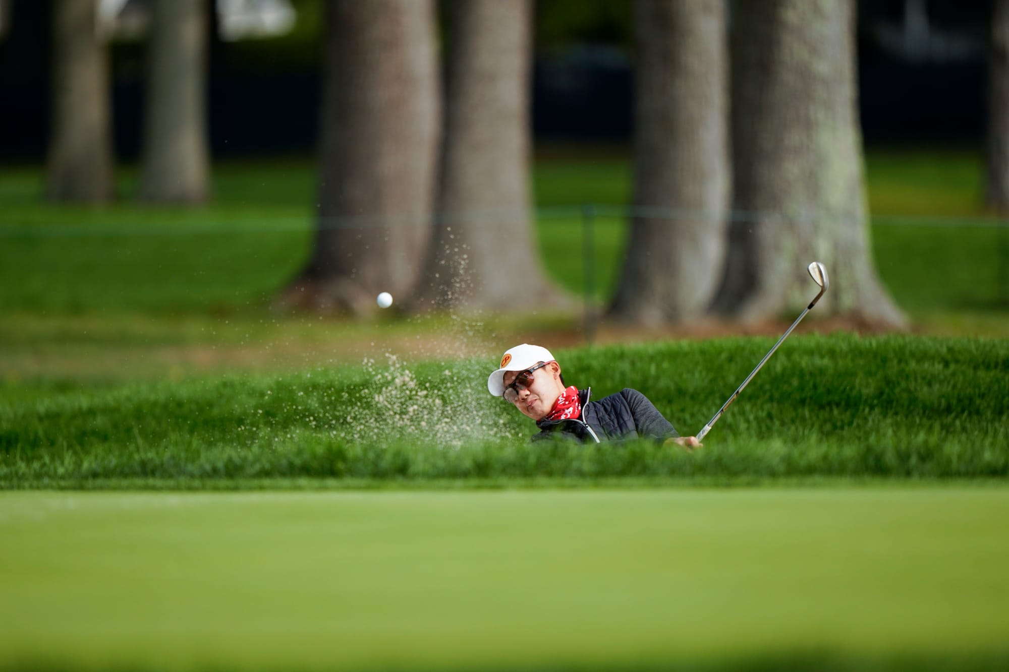Afternoon Tee-Time for All-Asian Grouping