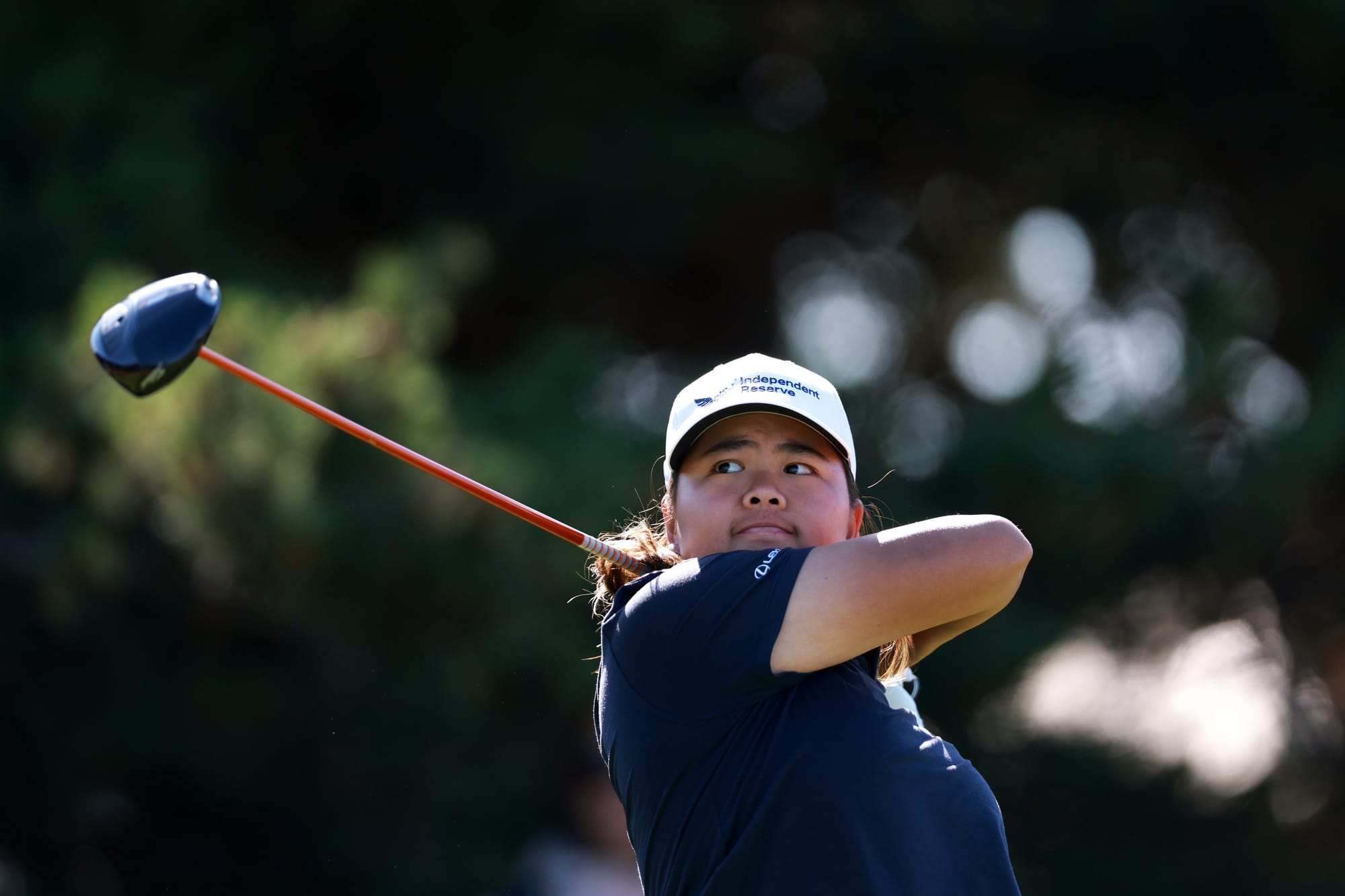 Resilient Shannon Resets After Shock Shank