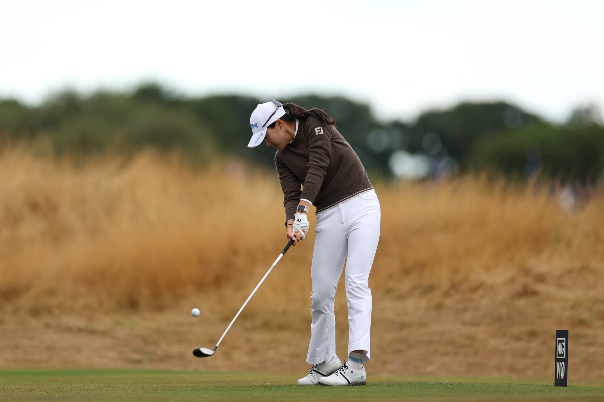 Yang Proves a Cut Above During Annus Mirabilis