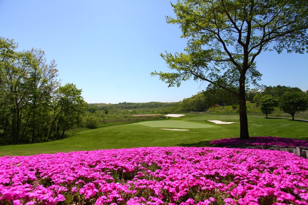 67th Japan Women's Amateur Championship post image