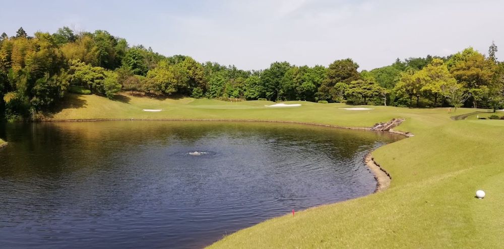 Toyota Junior World Cup post image