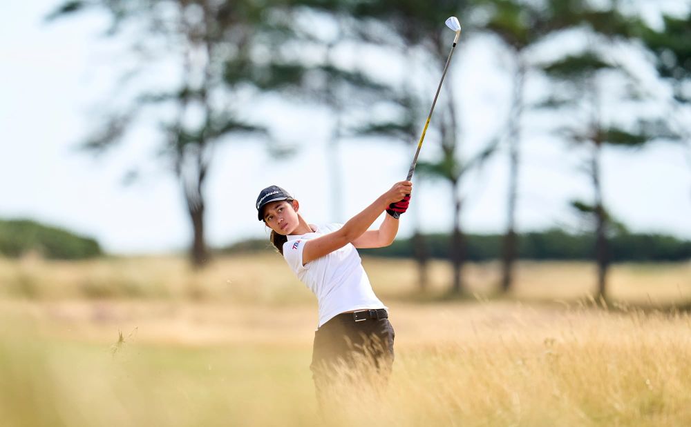 Thai Galitsky Flourishing on First Links Appearance post image