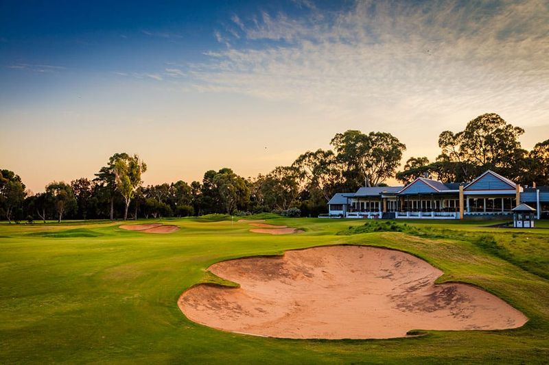 Australian Amateur Expands Starting Field post image