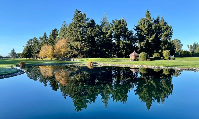 New Zealand Men’s Seniors Championship post image