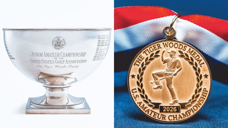 Tiger Woods Humbled at USGA Honour post image