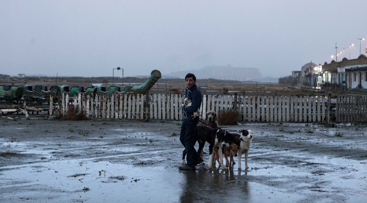 Dogman, il cinema di Garrone che cerca la carezza nel pugno