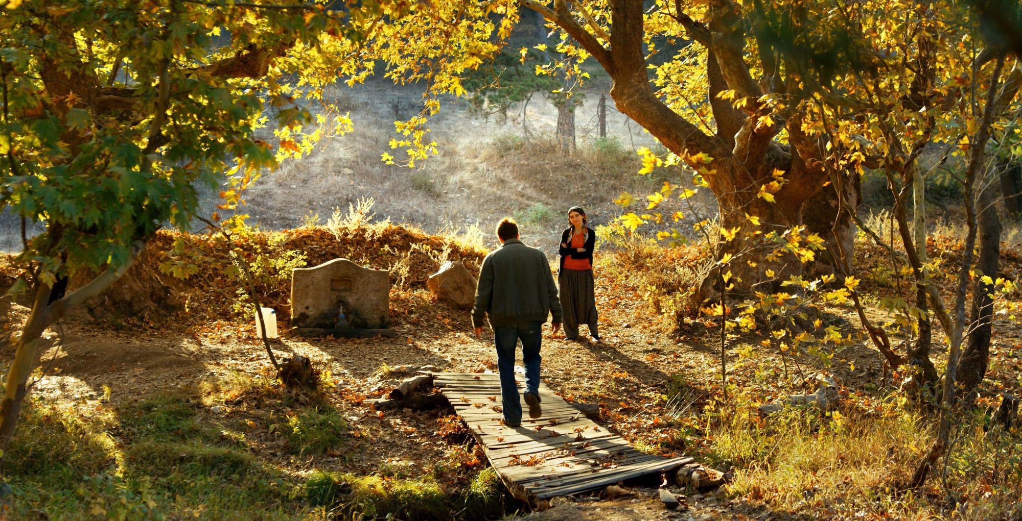 L’albero dei frutti selvatici, la cicatrice di ciò che poteva essere e non è stato