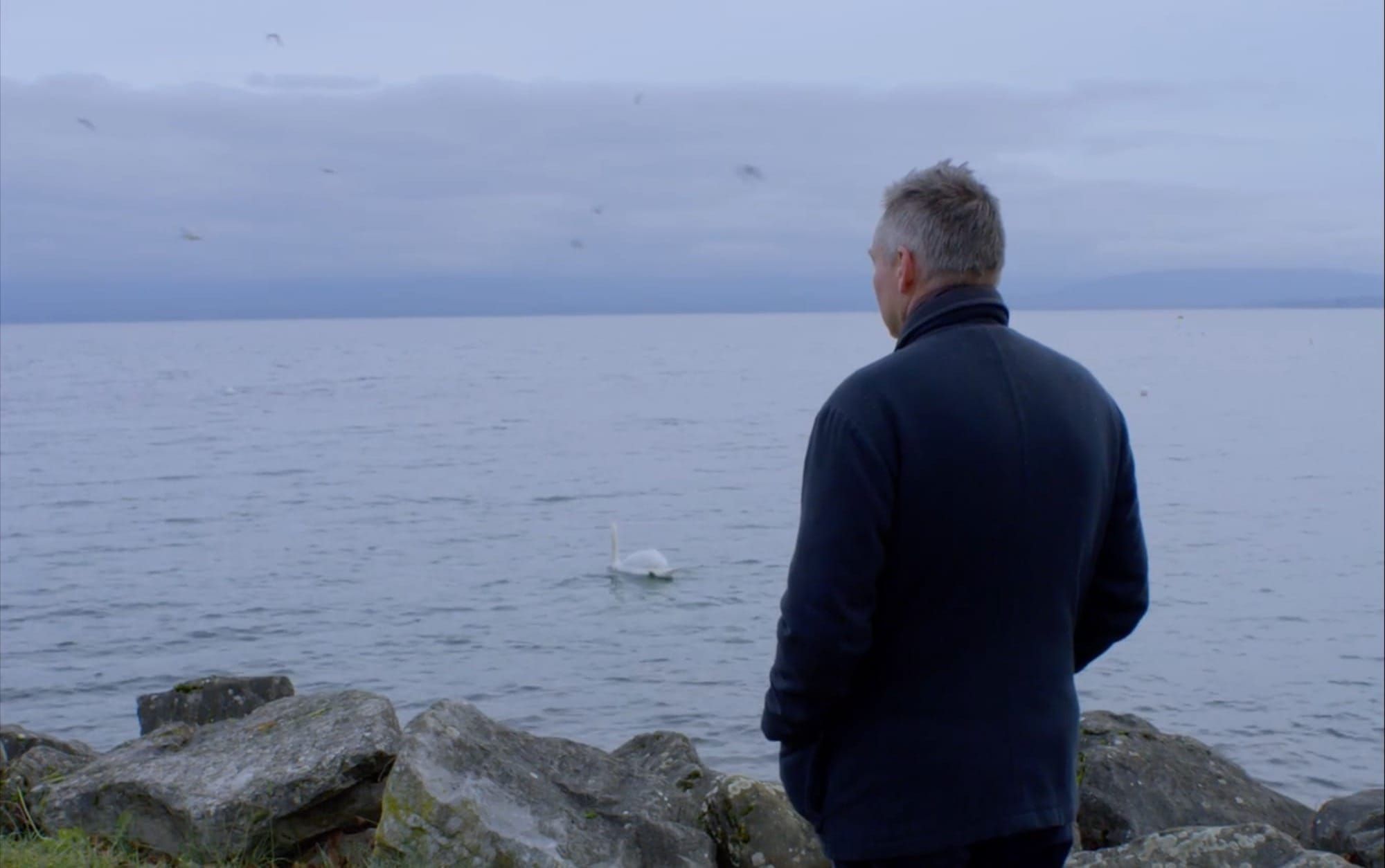 Stranger Than Cinema 