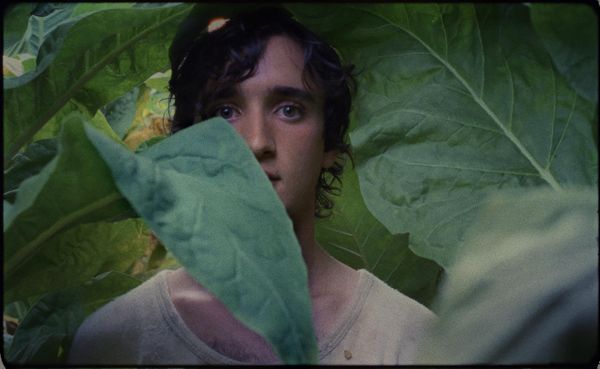Alice Rohrwacher firma con Lazzaro Felice il suo film più ambizioso (e meno efficace)