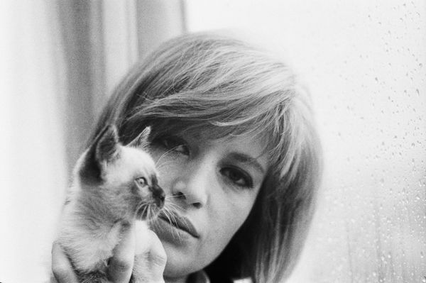 Ode a Monica Vitti