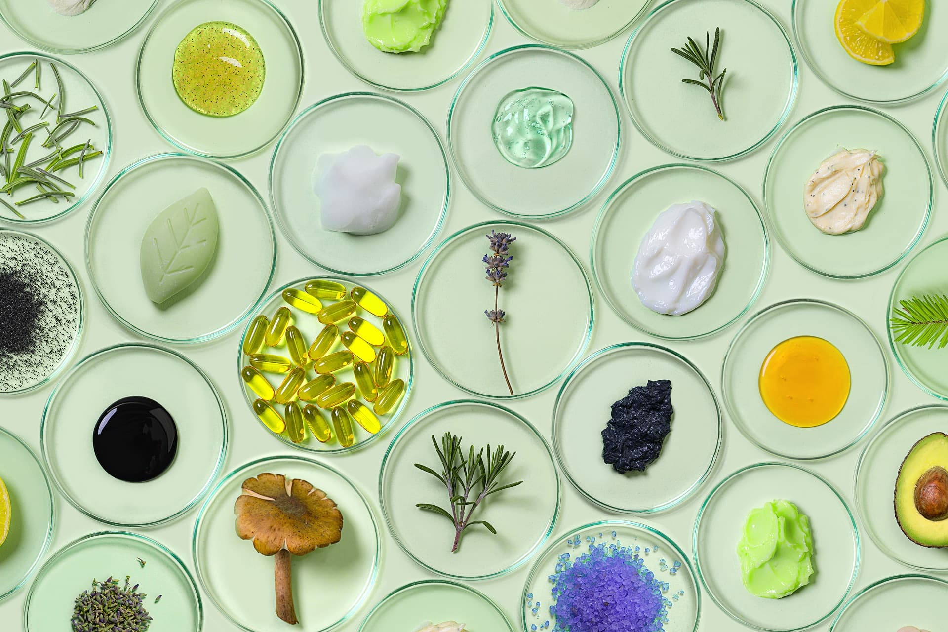 Il futuro del cibo, food trend, plant-based, biotech e biohacking