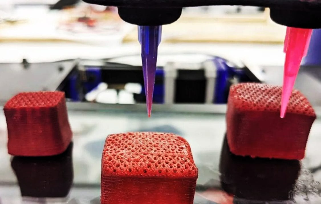 Carne stampata in 3D, carne plant-based, food tech e innovazione.