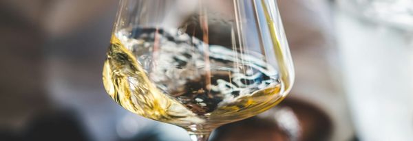 Come diventare sommelier: formazione e prospettive di carriera nel mondo del vino