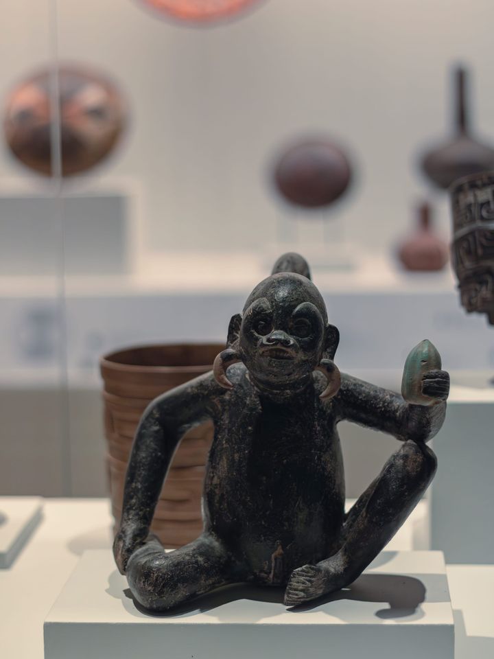 Mono con vaina de cacao