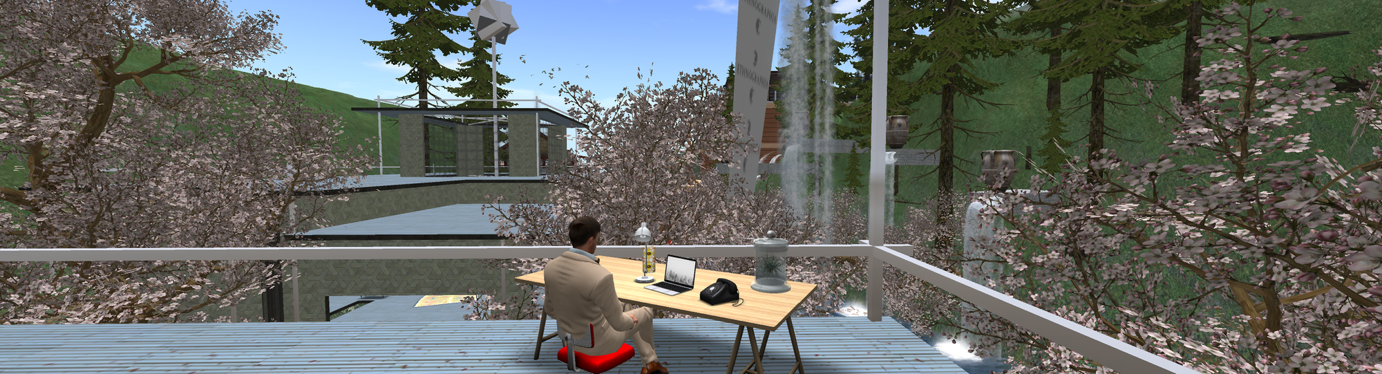 Digital Anthropology: Tom Boellstorff, “Coming of Age in Second Life”