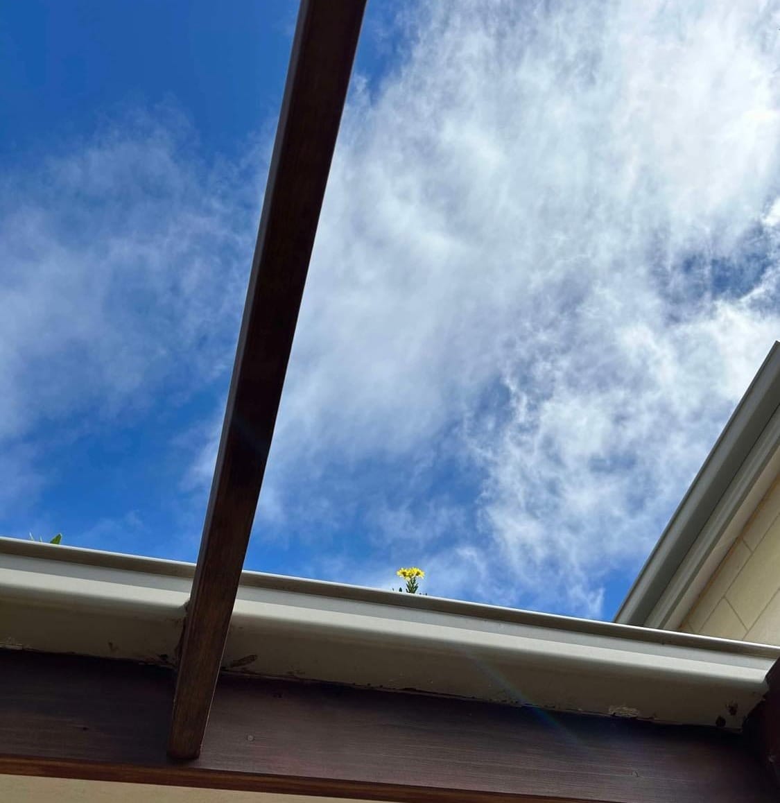 the secret life of pi