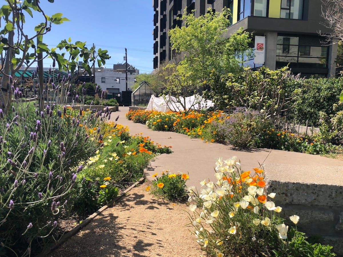 Why Sidewalk Gardens Are So Underrated post image