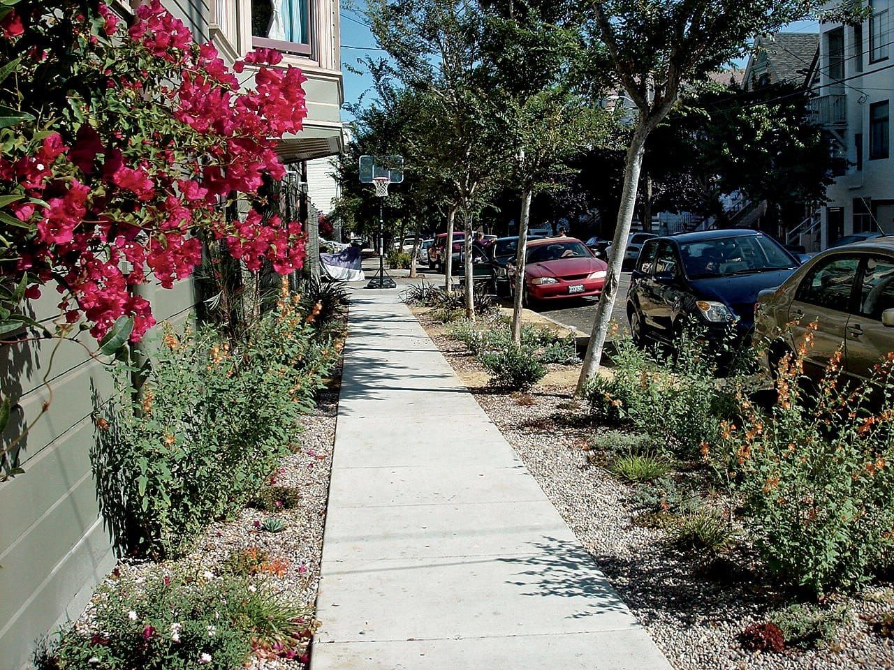 Common Sidewalk Garden Mistakes in San Francisco (And How To Avoid Them) post image