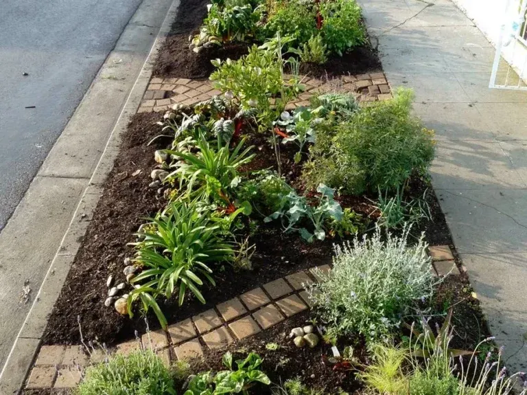 What It’s Like to Plant Your First Sidewalk Garden in San Francisco post image