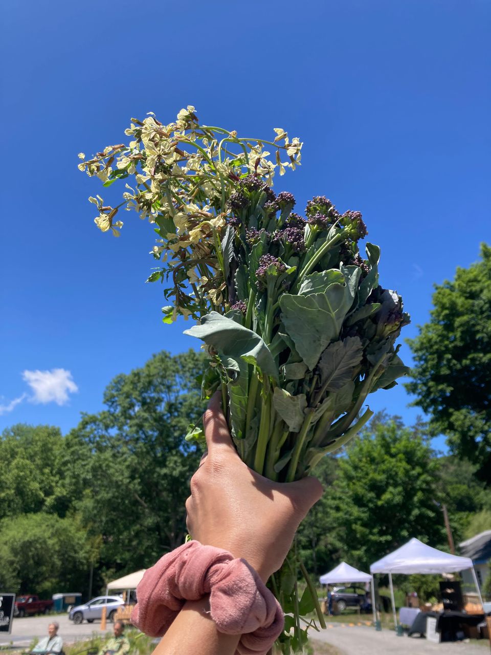 Our Guide to Mother's Day