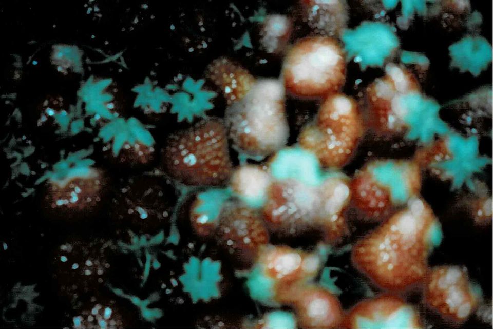 I Tried the Strawberry Salt That ‘Tastes Like Summer’ to See if It's Worth Buying