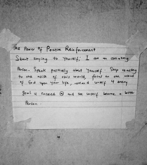 Navigating Life Through Positive Reinforcement