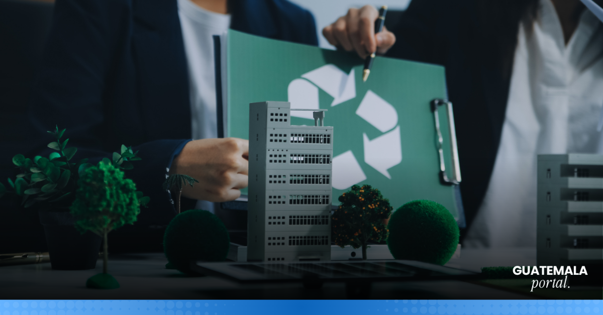 3 Guatemalan Companies Leading Environmental Transformation