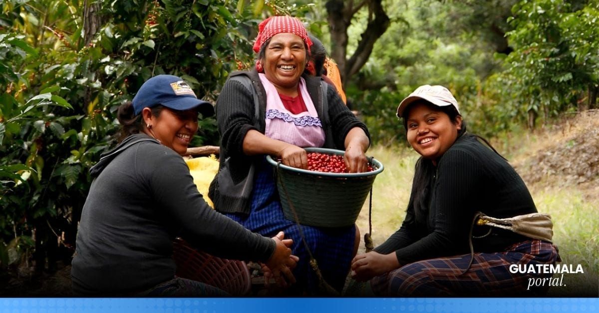 Guatemala’s Exports Reach US$7.2 Billion in First Five Months of 2026
