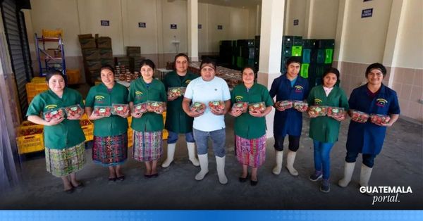 Tierra Fértil: How Walmart Is Empowering Sustainable Agriculture in Tecpán