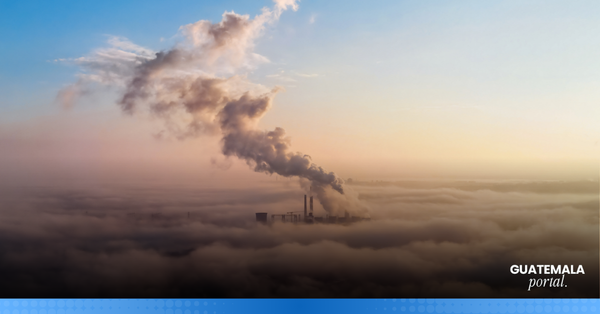 Companies in Central America That Already Measure Their Carbon Footprint