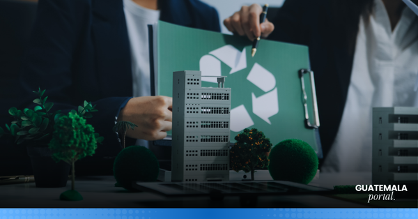 3 Guatemalan Companies Leading Environmental Transformation