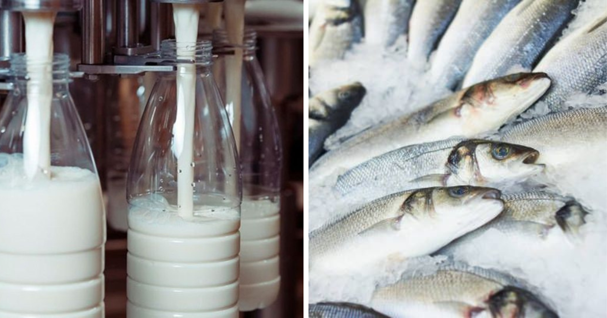 Экспорт сельхозпродукции снизился почти на 3 млрд сомов из-за запретов со стороны России