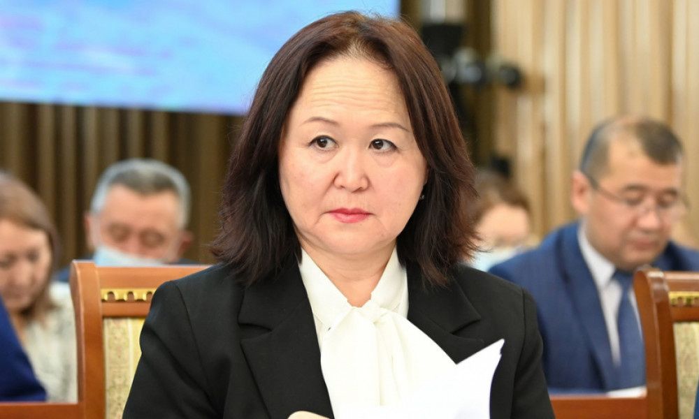 Экс-министра природы Динару Кутманову заключили под стражу до 9 августа