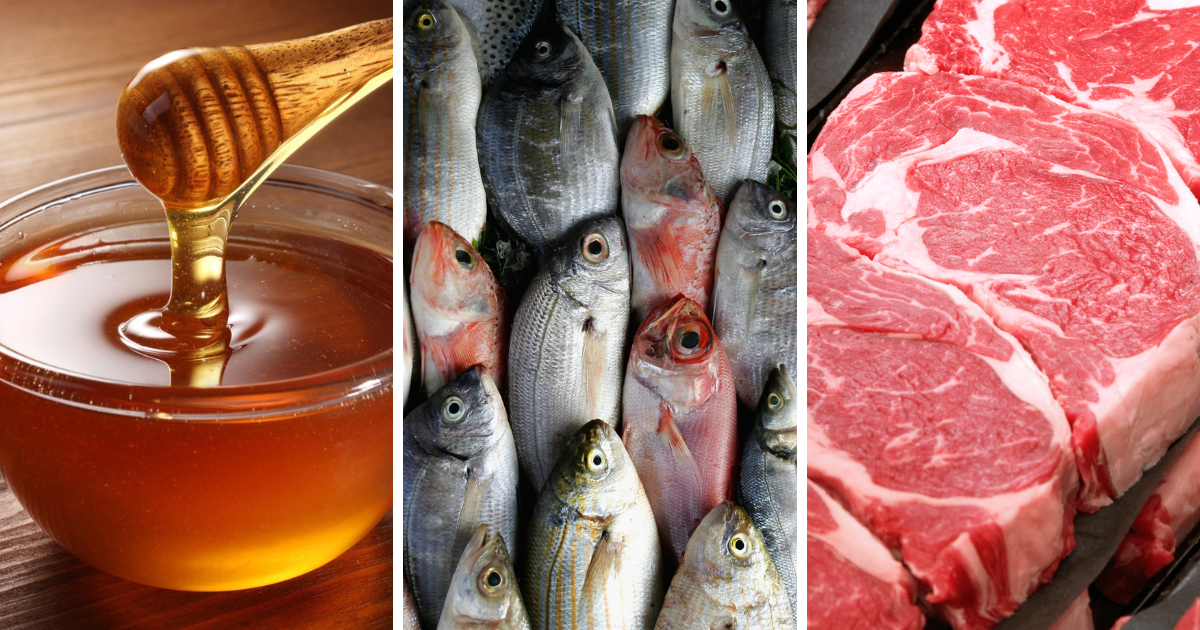 Итоги ЭКСПО "Китай - Евразия" - Кыргызстан заключил экспортные контракты на поставку меда, мяса и рыбы