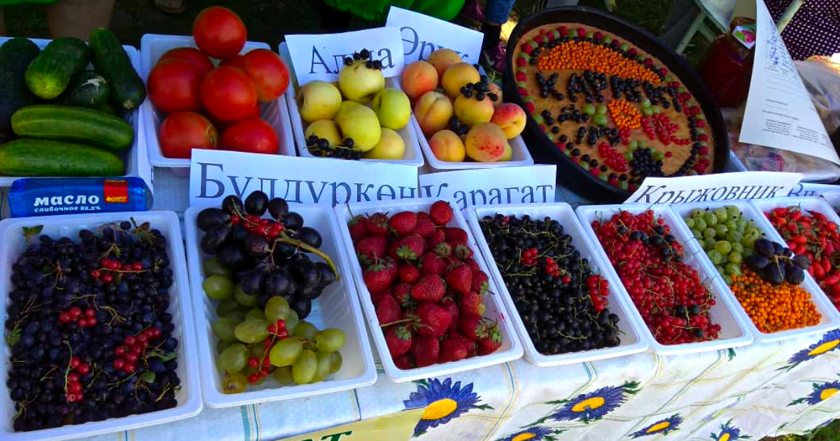 Омская область хочет закупить фрукты, овощи и ягоды из Кыргызстана
