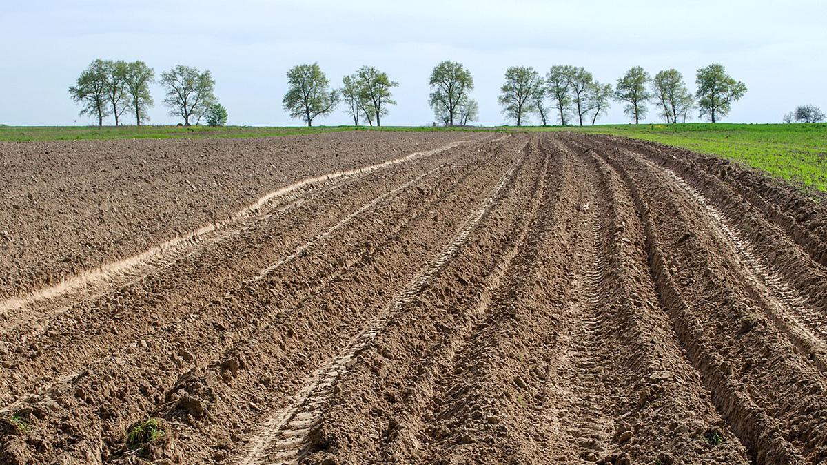 Кыргызстан ограничен в возможностях расширения пашень - замминистра сельского хозяйства КР