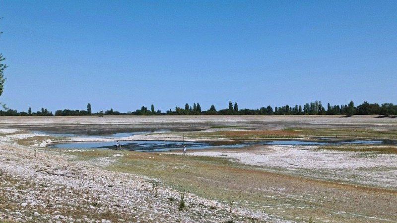 В водохранилищах Панфиловского района проведут механическую очистку за 204 млн сомов