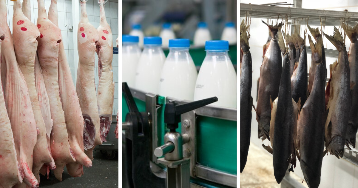 38 экспортных предприятий Кыргызстана включены в единый реестр Узбекистана