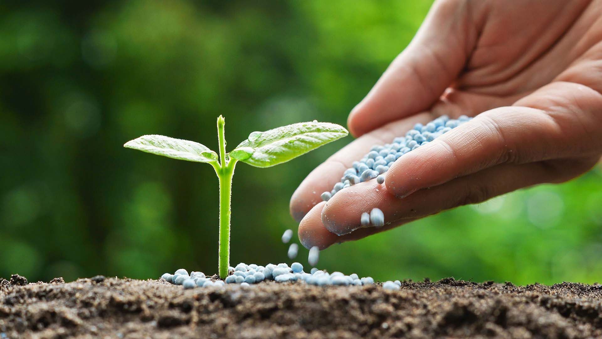 Турция предложила Минсельхозу построить в КР завод удобрений