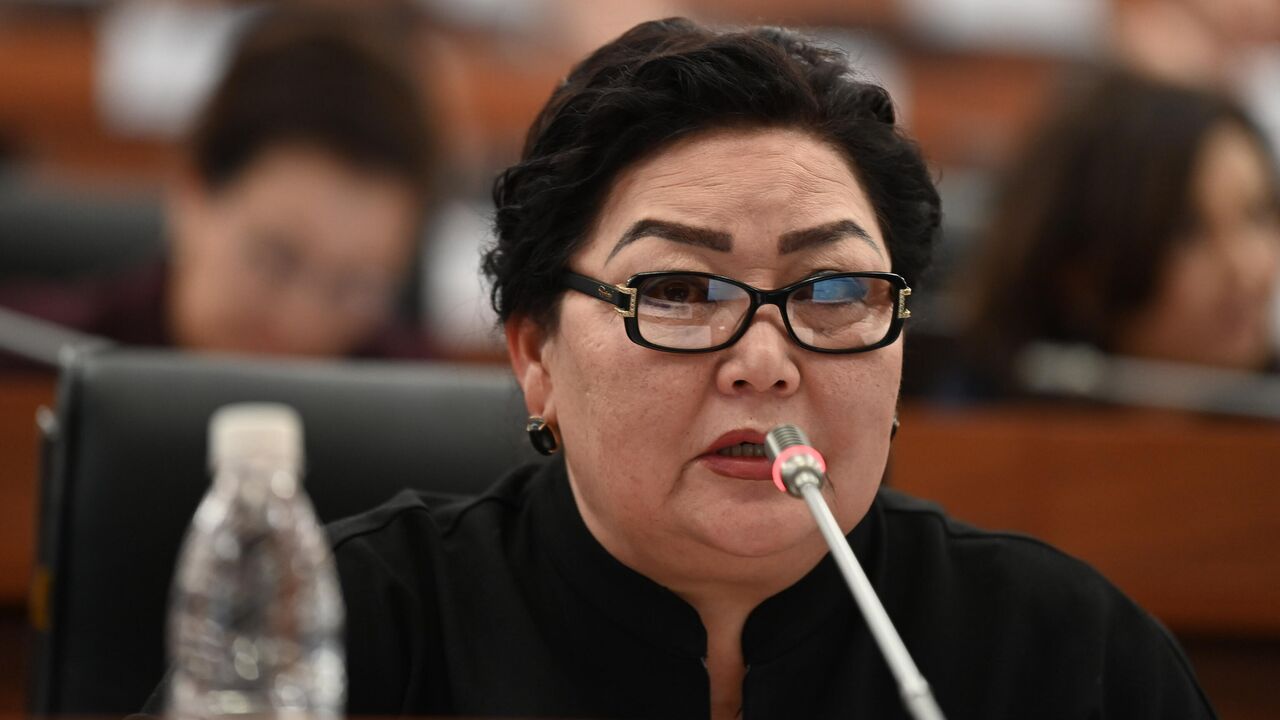 О приеме на работу не было речи – Нарматова заявила, что ее оклеветали и напомнила о своем законе об НКО