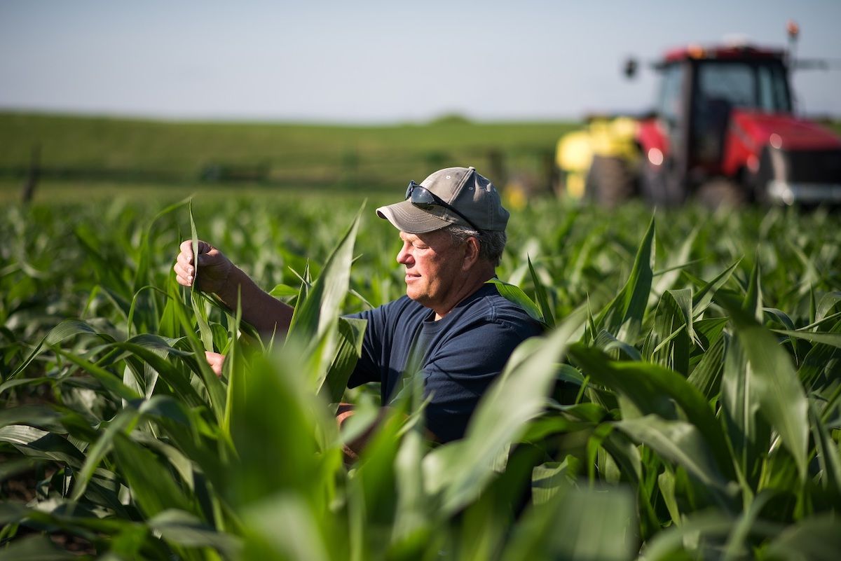 Сельхозпроизводителям Кыргызстана все еще нужна экспертная поддержка