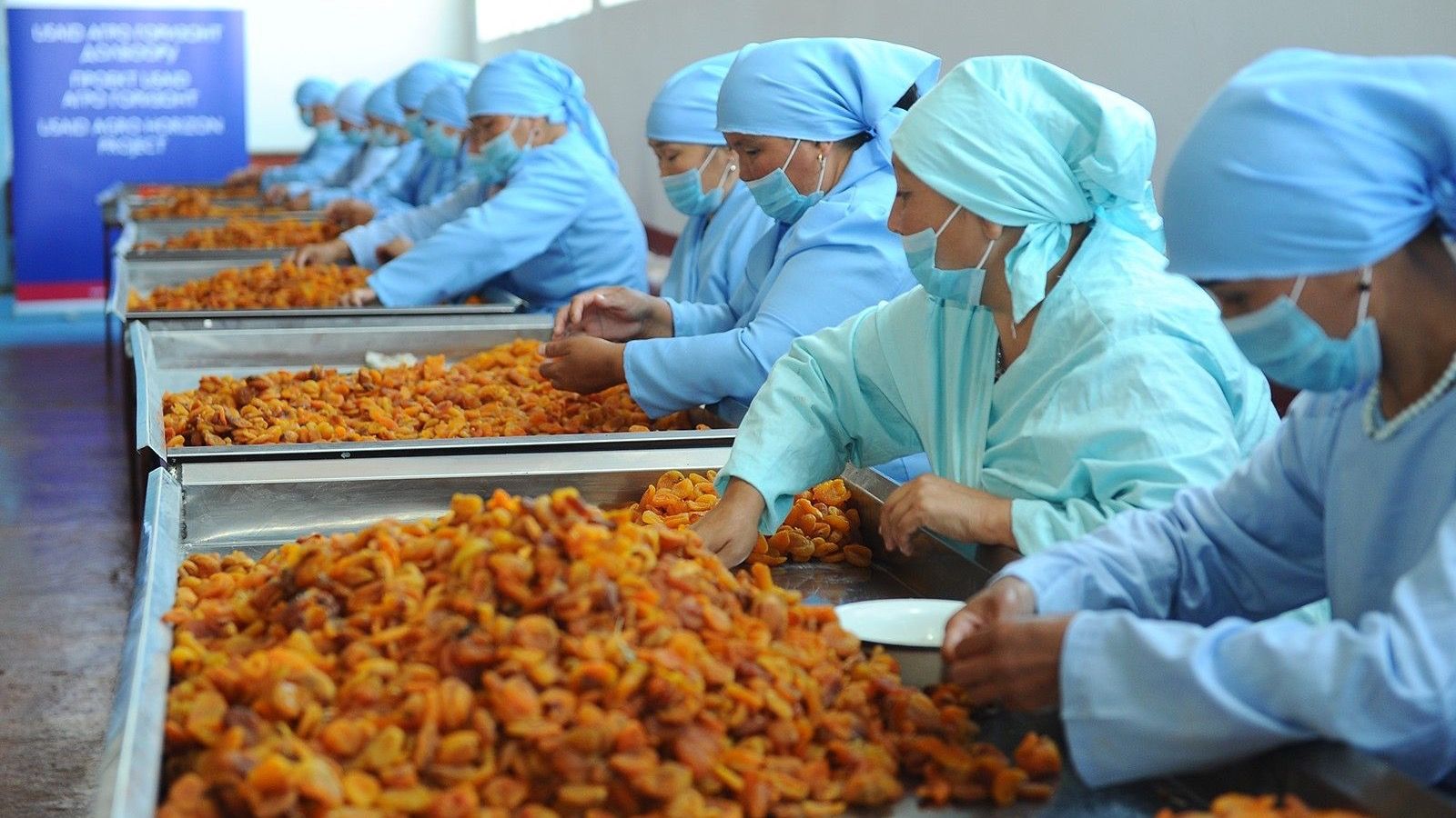 В Ак-Татыре из склада сделают цех по переработке сухофруктов