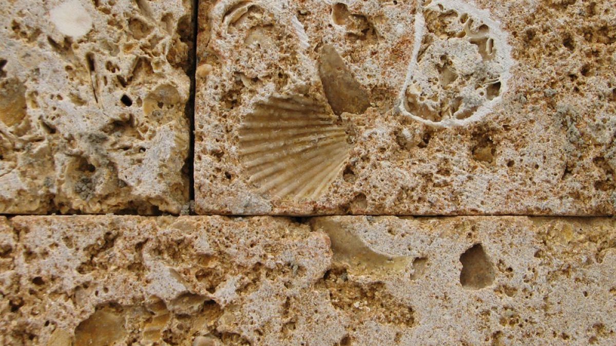 Кабмин на полгода запретил вывозить известняк из Кыргызстана